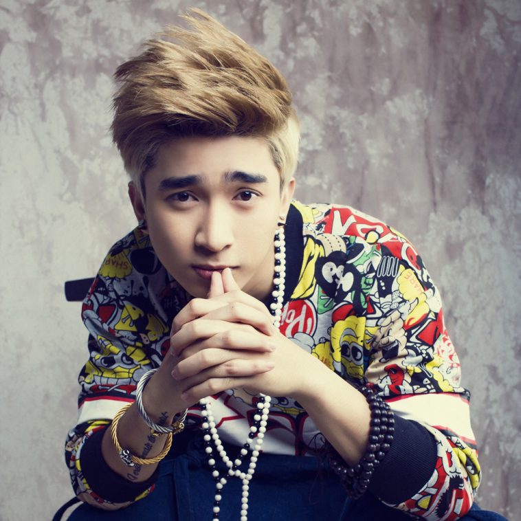 Tiểu sử ca sĩ Chi Dân nhung hinh anh dep cua ca si chi dan 1