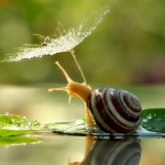 Lâu rồi không gặp! lau roi khong gap avatar