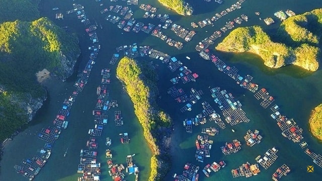 Vẻ đẹp của Cái Bèo – Làng chài cổ hơn 7.000 năm tuổi.